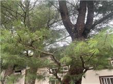 房地合一稅　別讓「租稅正義」變成「制度勒索」！